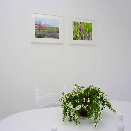 On The Penthouse By Trulycyprus Daire