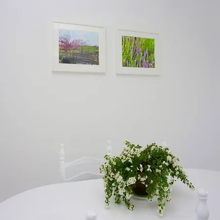 On The Penthouse By Trulycyprus