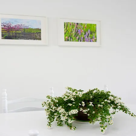 On The Penthouse By Trulycyprus 利马索尔