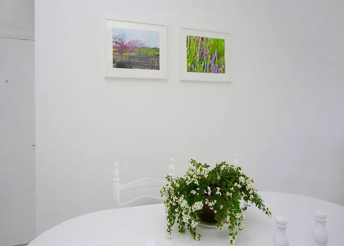 On The Penthouse By Trulycyprus